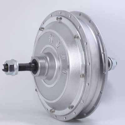 Brushless Low-speed Electric Bike Motor/Electric Bicycle Rear Spoke Wheel Hub Motor